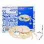 rowood Puzzle 3D din lemn Animale din Ocean Rac JP279 Crab 69 piese