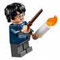 LEGO® Harry Potter Bârlogul lui Aragon 75950 - 157 piese Aragon's Lair