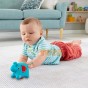 Fisher-Price Jucărie interactivă cu role Elefant FRR63 pentru bebe