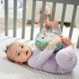 Fisher-Price Jucărie bebeluşi Arici de pluş liniştitor FXC58 - Mattel