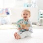 Fisher-Price Jucărie bebeluşi Arici de pluş liniştitor FXC58 - Mattel