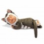Anne Geddes Păpușă Pisicuță gri Baby Kitten 579122