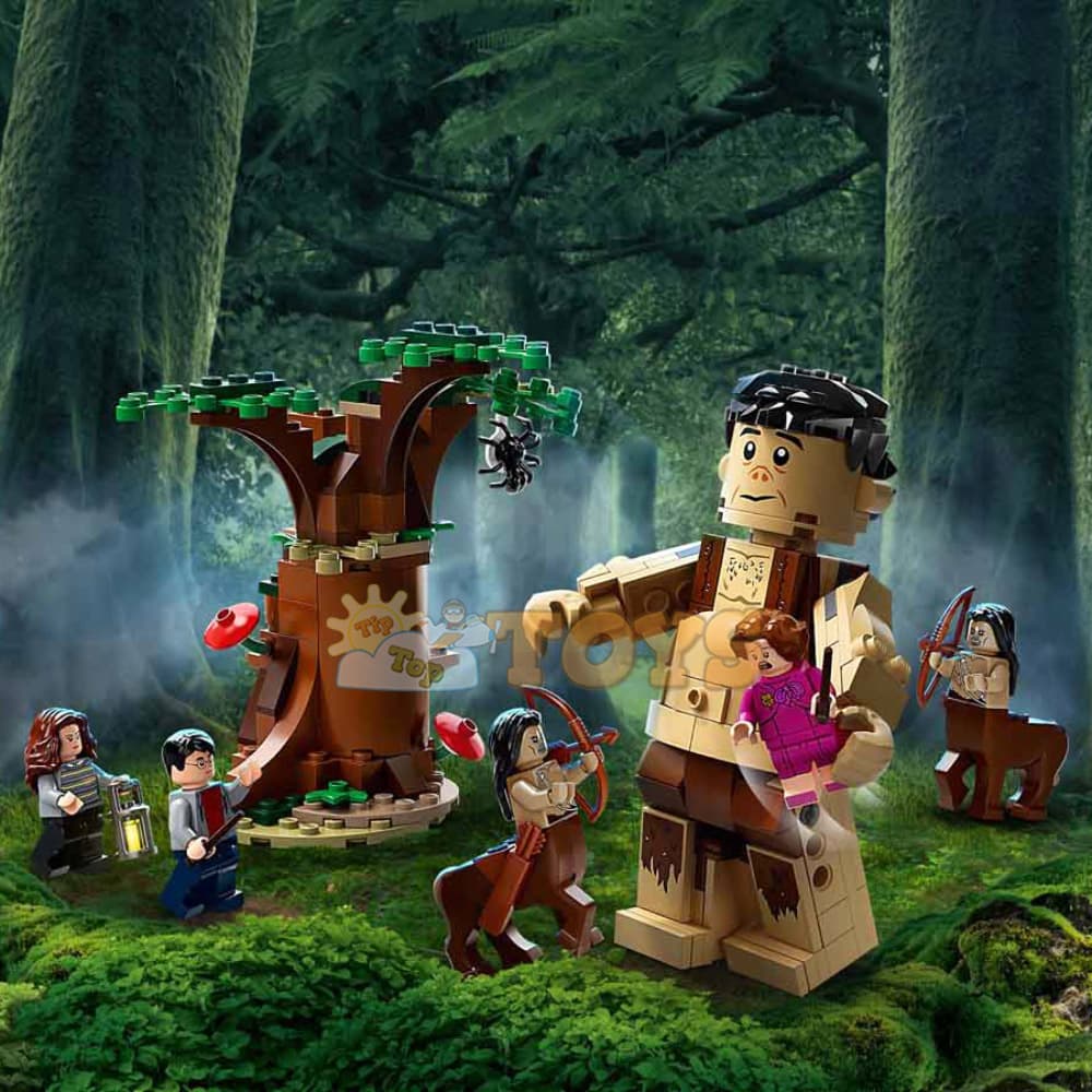 LEGO® Harry Potter Întâlnirea lui Grawp cu Umbridge 75967 - 253 piese