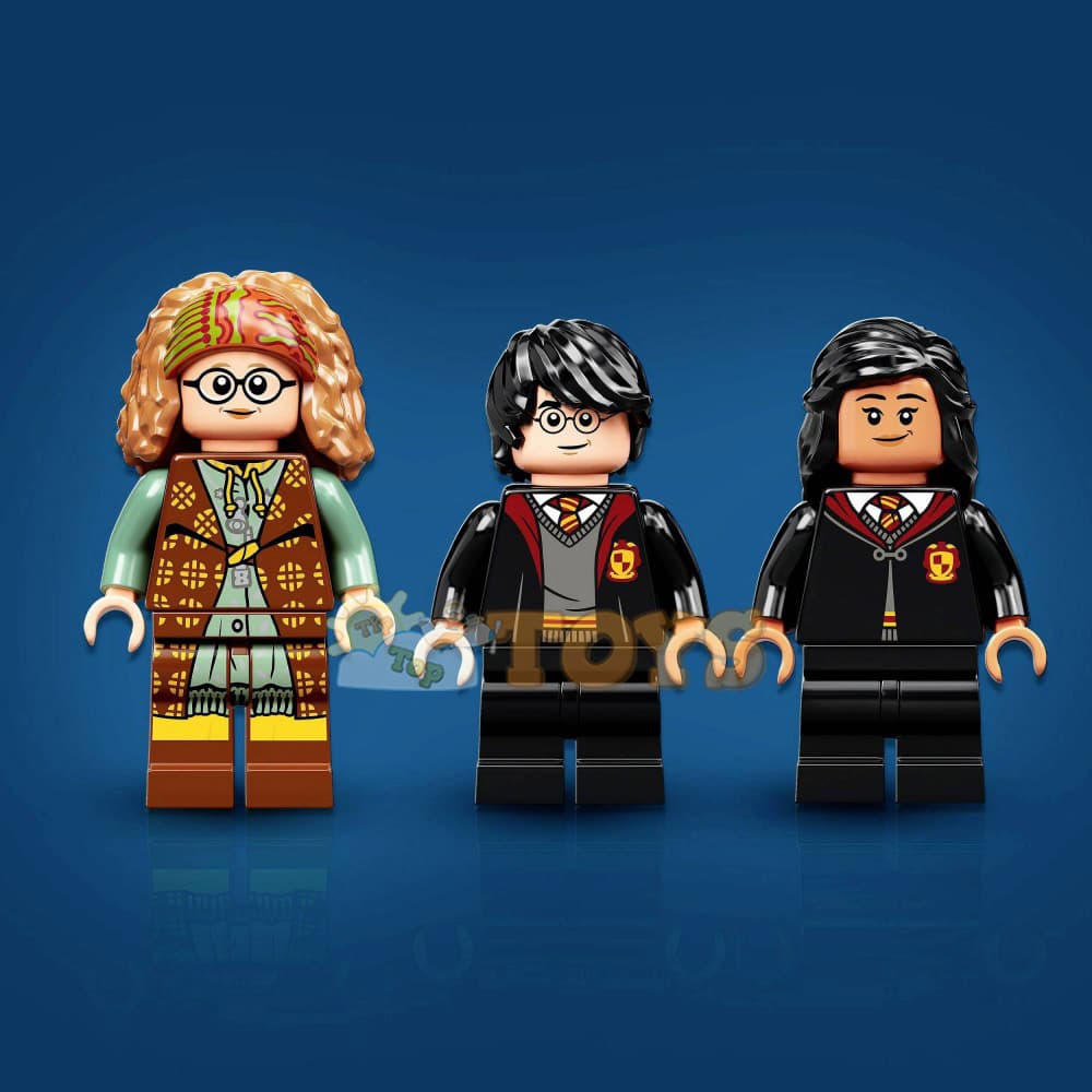 LEGO® Harry Potter Momente Hogwarts Lecția de divinitate 76396