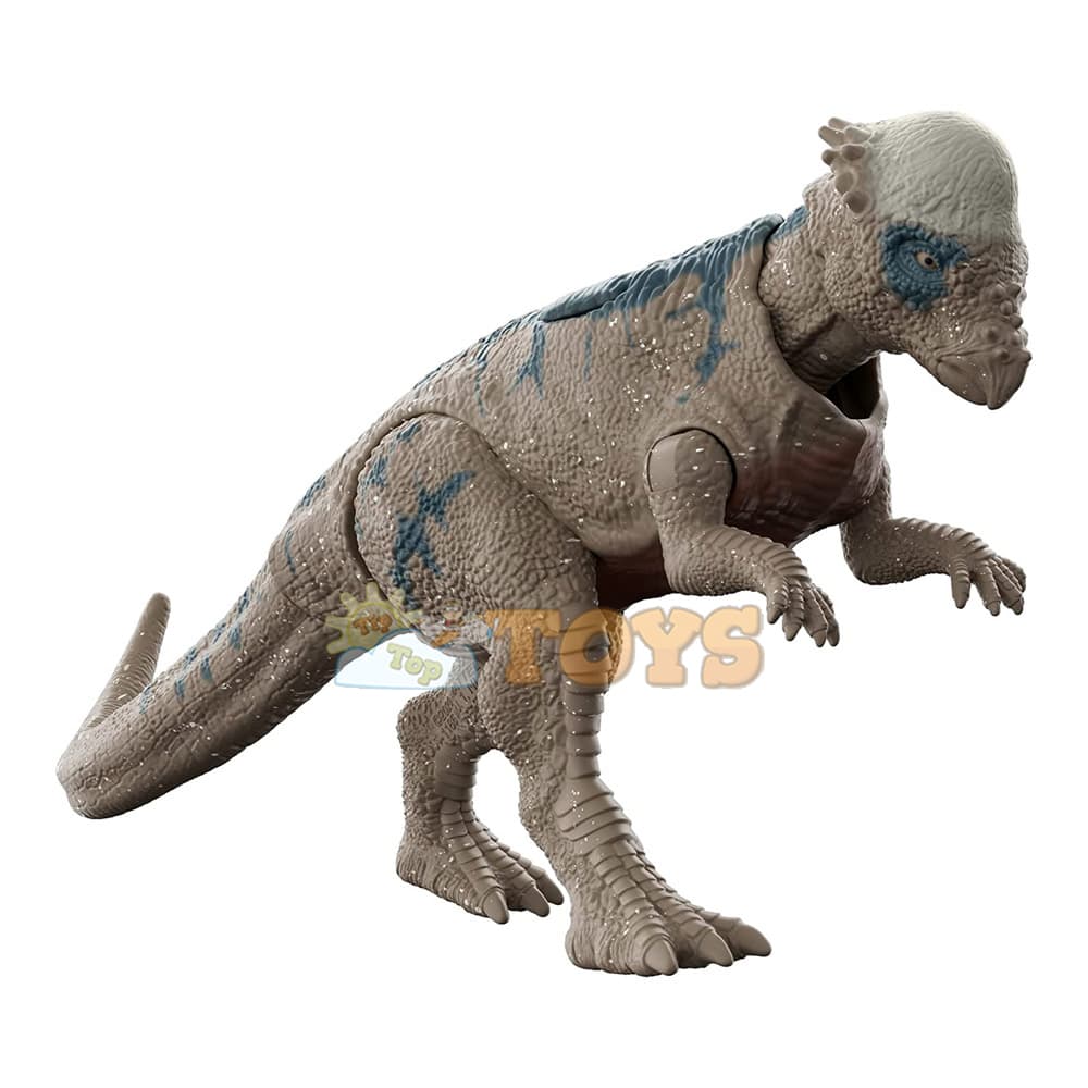 Figurină Jurassic World Dinozaur Pachycephalosaurus GWM34