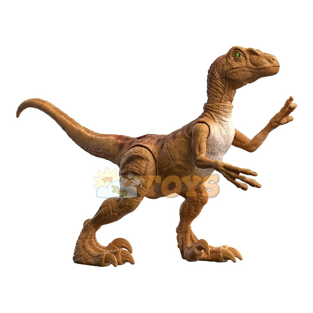 Figurină Jurassic World Dinozaur Velociraptor HFF14 - Mattel