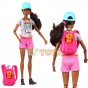 Set de joacă Barbie cu accesorii Wellness GRN66 Drumeție cu cățel