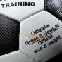 WINNER MID Training Minge de fotbal mărimea 5 material sintetic