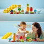 LEGO® Duplo Grădina organică 10984 - 43 piese