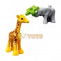 LEGO® Duplo Animale din Africa 10971 - 10 piese